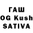 Конопля индика Green Philosopher