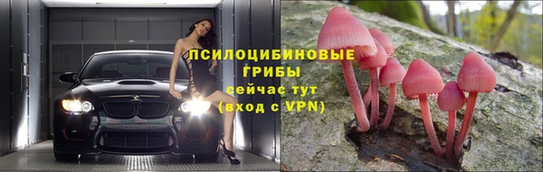 синтетический гашиш Алексеевка