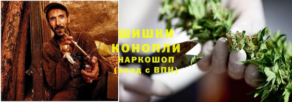 mdpv Заводоуковск