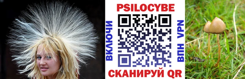 Галлюциногенные грибы Magic Shrooms  ОМГ ОМГ маркетплейс  Долинск  купить  цена 
