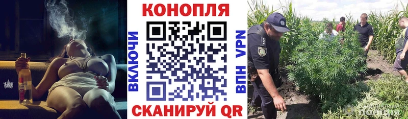 ОМГ ОМГ ТОР даркнет сайт darknet Telegram МАРИХУАНА марихуана Долинск